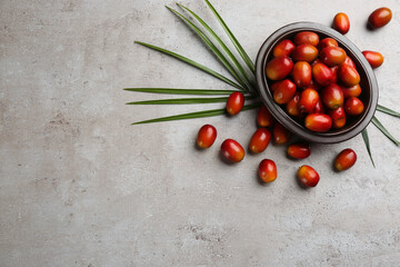Palm oil fruits in bowl on grey table, flat lay. Space for text
