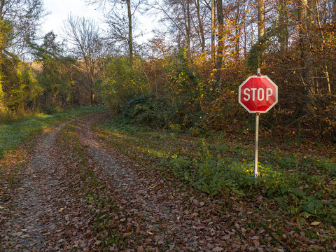 Stoptafel im herbstlichen Wald bei Wien