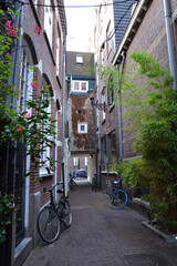 Fototapeta na wymiar Cozy empty street in Amsterdam city, The Netherlands. Vertical view