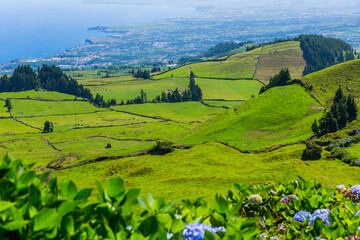 Obraz premium Beautiful landscape in Azores