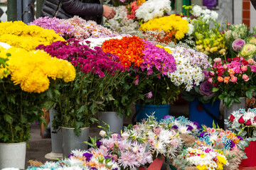 Fototapeta na wymiar Colourful bouquet of blooming flowers in outdoor market, Tbilisi