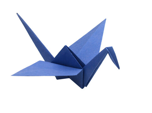 A blue origami bird isolate white