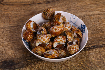 Tasty mollusk - spotted Babylon in the bowl