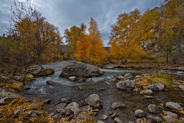 Russia. South Of Western Siberia. Mountain Altai. Early autumn morning on the coast of the Big Ilgumen river near the village of Kupchegen.