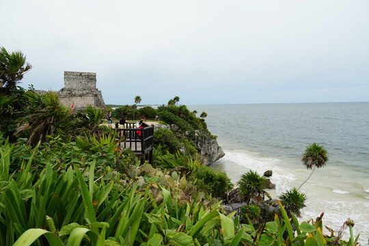 tulum, iguana, unesco, archeology, coati, buildings, nature, palms, birds, pelicano, tower, quintana roo, mexico