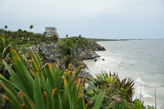 tulum, iguana, unesco, archeology, coati, buildings, nature, palms, birds, pelicano, tower, quintana roo, mexico