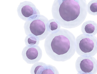 3d rendering of Human cell or Embryonic stem cell microscope background, isolated on white