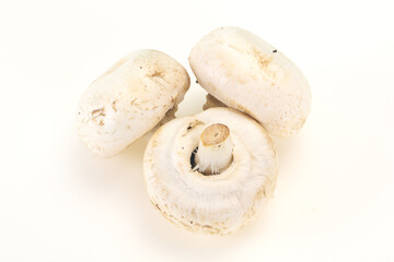 Raw Champignon heap for cooking