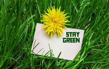 Stay green