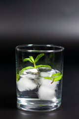 A glass with ice cubes and a sprig of mint at the bottom of the screen.