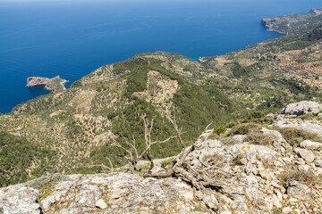 Fototapeta na wymiar Cingles de son Rullan, Deia, Mallorca, Balearic Islands, Spain