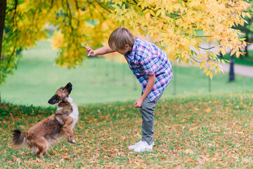 Cute boy playing and walking with his dog in a meadow.