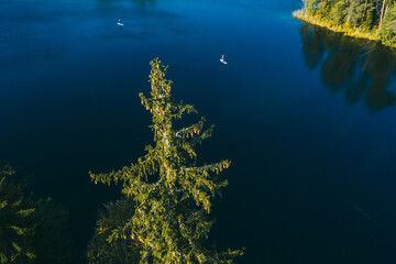 Naklejka na ściany i meble Girls rowing oar on sup board blue lake water paddleboard background of forest.