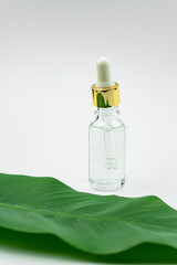 Serum bottle near palm leaf. Trendy beauty product for young skin. Additional moisturizing step in everyday facial routine