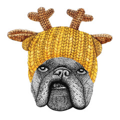 french bulldog with yellow knitted hat and scarf. Hand drawn illustration of dressed dog.