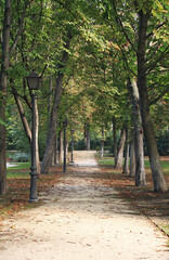 First part of autumn in the park, walk among the trees