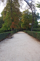 First part of autumn in the park, walk among the trees