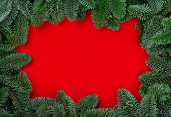 Christmas fir tree on red