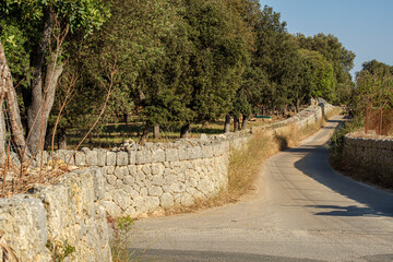 pared y bosque de Son Ramis, Inca, Mallorca, Balearic Islands, Spain