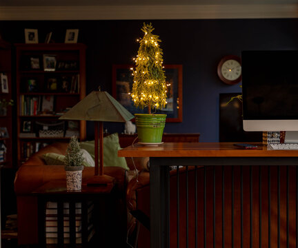 A Festive Miniature LED Christmas Lights On A Fir Tree Lighten Up Standup Desk During Pandemic With A Dark Blue Painted Background. 