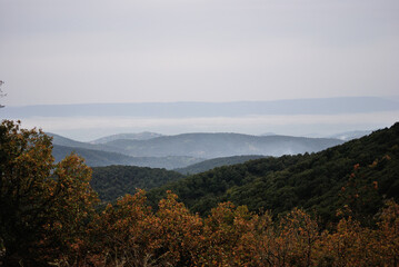 Panorama dall Foresta Fioentini