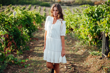 beautiful fashionable woman in a dress collects grapes in a vineyard