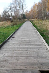 Fototapeta na wymiar Beautiful park in Gdańsk in Poland.