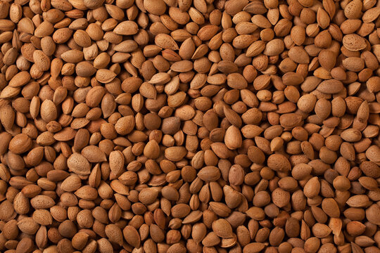 Almonds Nut Background with Shell &ndash; Sicilian "Pizzuta d'Avola" Variety &ndash; Italian Food