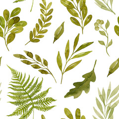 Green watercolor fern and leaves seamless pattern, isolated on white background. Botanical illustration.