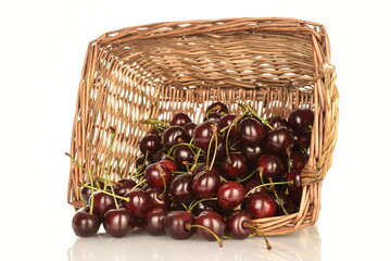 Several ripe cherries berries with a wicker basket, close-up, isolated on a white background.