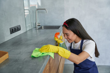 Service at work. Attractive young woman, cleaning lady smiling while cleaning the kitchen spraying...