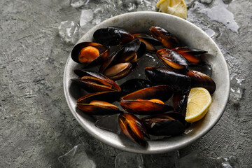 seafood, mussels, food, appetizer, raw, recipe, nobody, ocean, snack, marinated, eating, restaurant, starter, ingredient, bowl, top view, nutrition, uncooked, copy space, kiwi mussel, gourmet, sea, cu