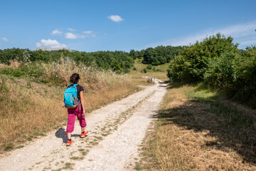 green route, forest of the Centennial Oaks, Munain and Okariz, Alava, basque country, spain