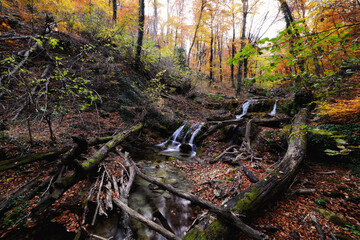 Beautiful waterfall at colorful autumn forest