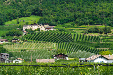 Summer landscape along the cycleway of the Venosta valley