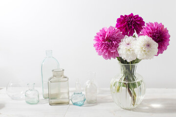 Bouquet of purple and white autumn dahlias in vase on white background.