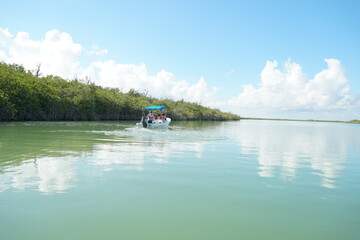 sian ka'an, sian kaan, tulum, natural reserve, lagoon, mexico, quintana roo, sky, animals, birds,...