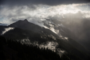 Beautiful landscape view of Hurricane Ridge during a foggy morning