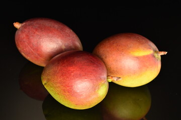 ripe organic mango, close-up, on a black background.