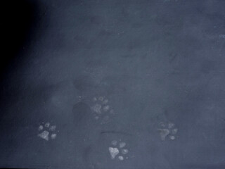 Dog footprint on the yoga mat