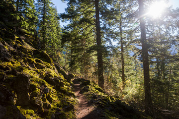 Fototapete bei efototapeten.de bestellen   