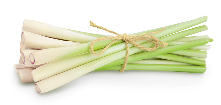 Fresh Lemongrass isolated on white background with clipping path and full depth of field