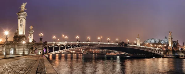Foto op Plexiglas Pont Alexandre III Paris - pont Alexandre III