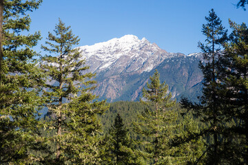 Beautiful landscape view of the forest in North Cascades National Park during the fall (Washington).