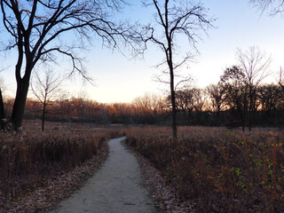 Sunset in the forest: Path leading to a clearing in a forest at sunrise on a late autumn morning showing frost-covered and fall-colored vegetation and bare trees against orange and blue sky