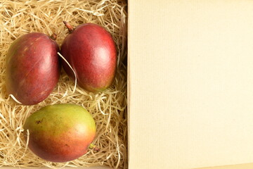 Three organic mangoes with a box with shavings, close-up.
