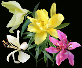 Fototapeta na wymiar three colors lilies bunch on black