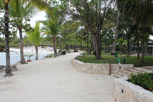 camino en una playa con &aacute;rboles color verde y arena