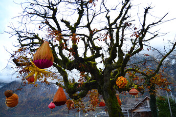 The beautiful magic tree in the center of Hallstatt. A foggy day and clouds between the mountains. Austria, Salzkammergut region