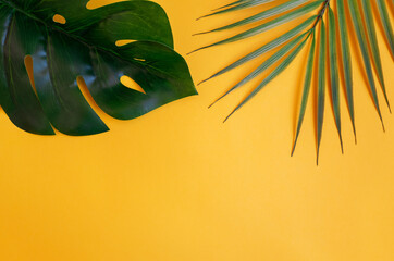 Tropical monstera leaves and palm trees on a yellow background. The view from the top, place for text, horizontal position. Layout for design
